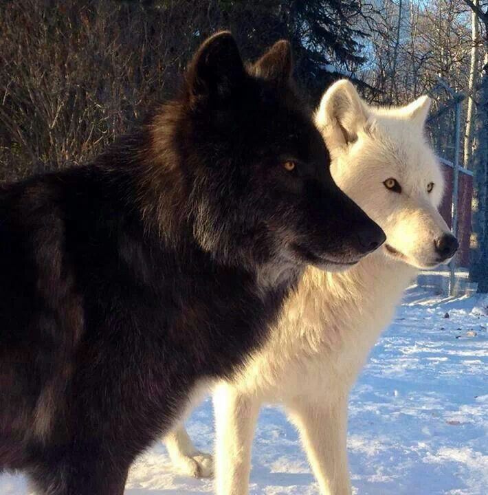 Непонятный сон, но хороший