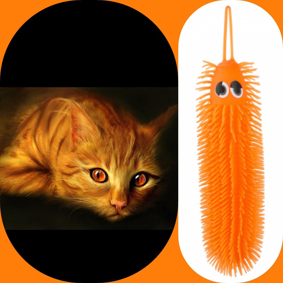 Оранжевая кошка оказалась гусеницей