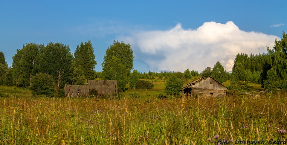 Село снилось. Деревня старое Шадбегово. Зянтемошур Игринский район. Среднее Шадбегово Игринский район. Сон в деревне.