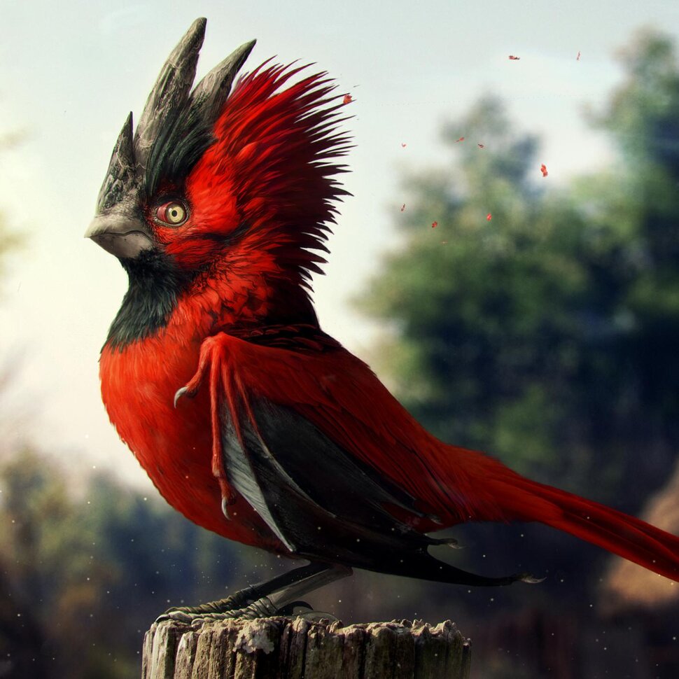 Птицы красно-чёрного оперения