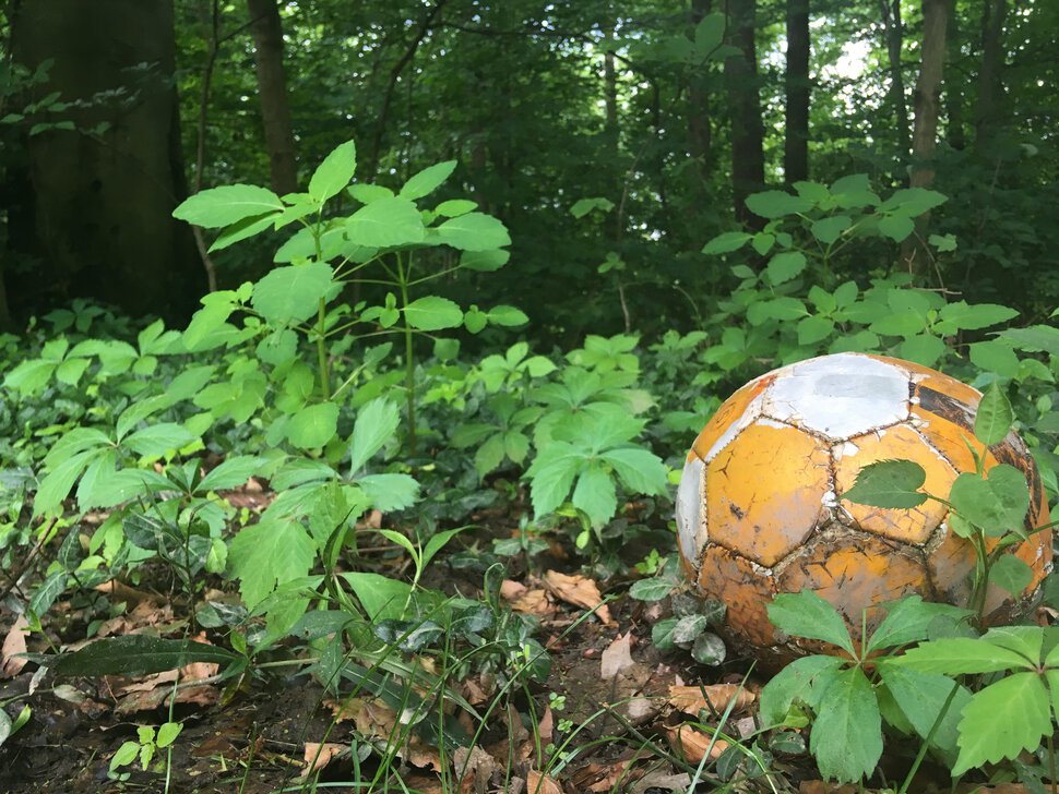 Подарок - мяч из сухого леса