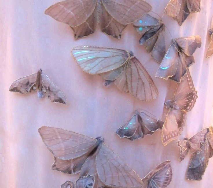 Бабочки во сне