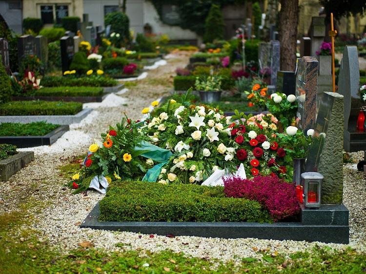 Кладбище в цветах