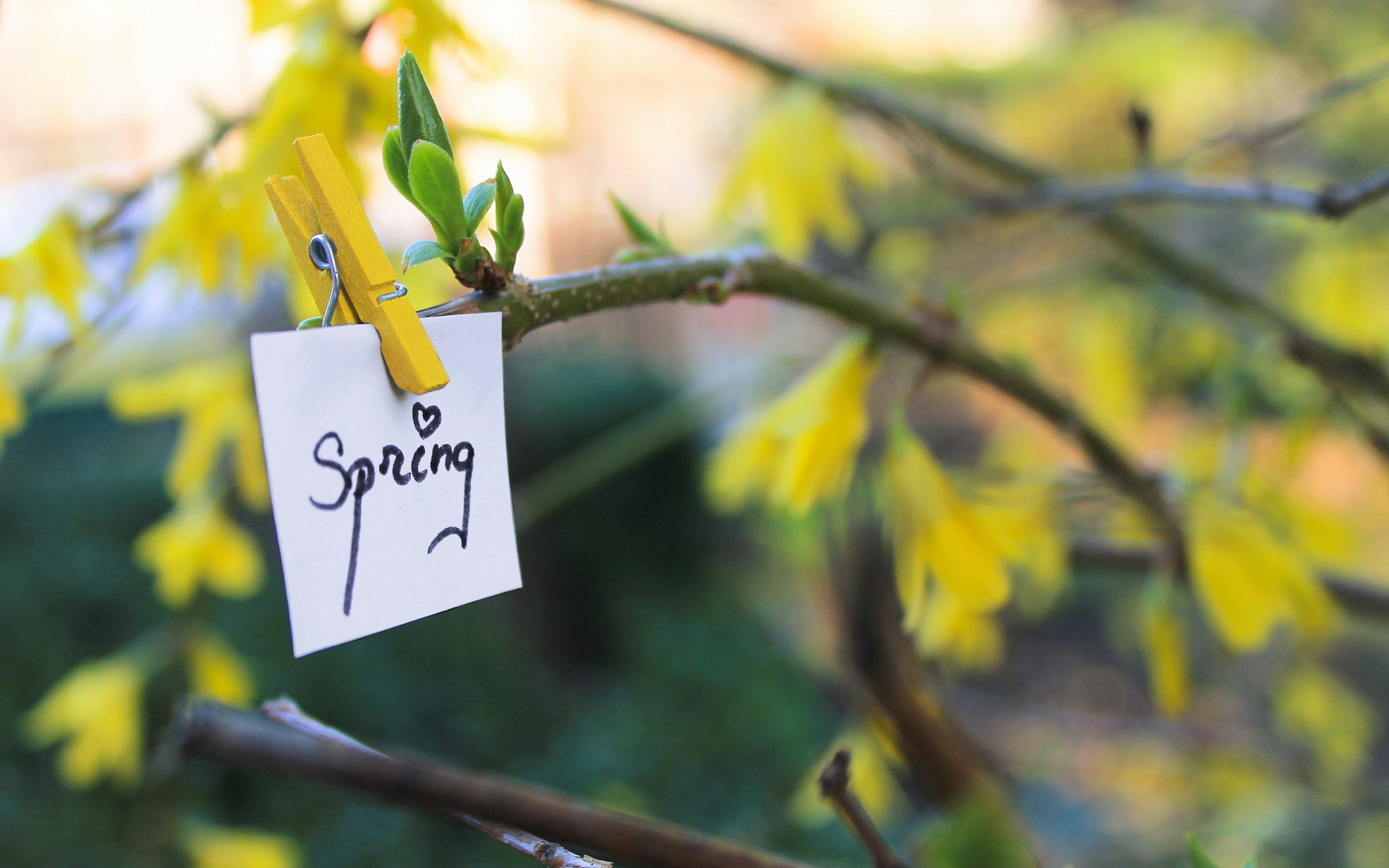 Привет апрель картинки с надписями. С первым днем весны стильные. Весенние надписи.