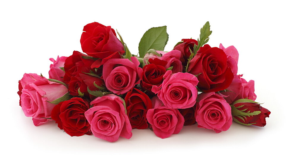 Букет из черных тюльпанов и красных роз