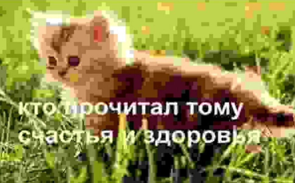 Странный сон