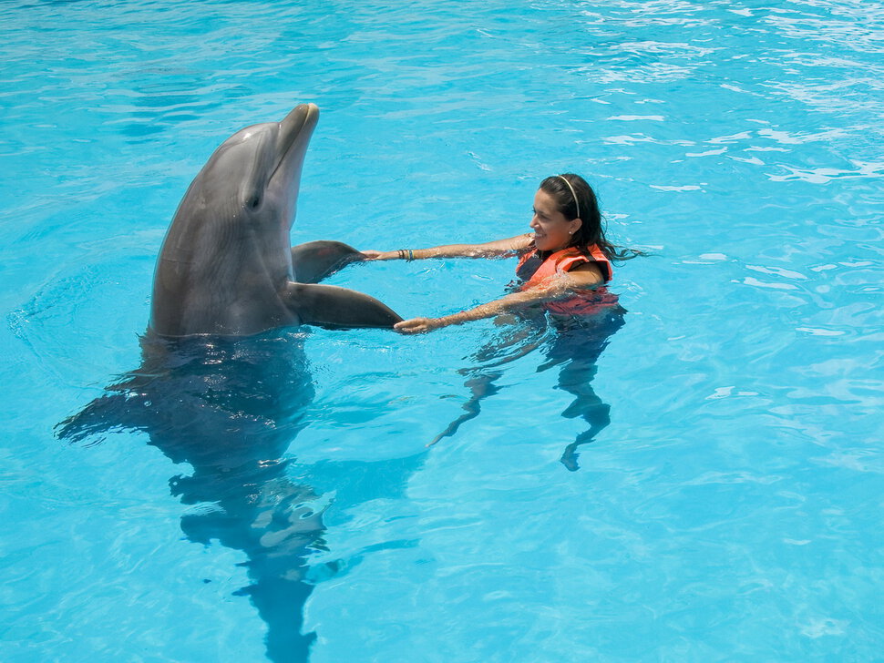 Танец с дельфином