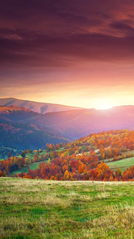 Прогулка с семьей, падение в яму