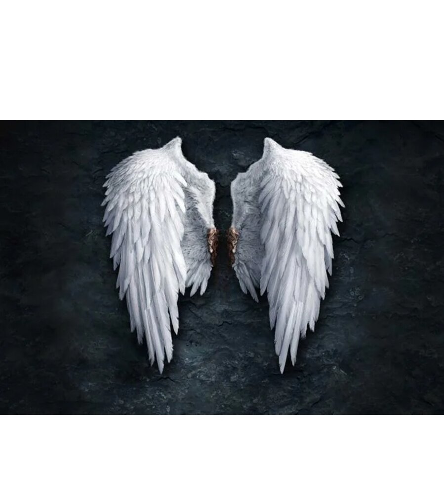 Разбросанные ангельские крылья