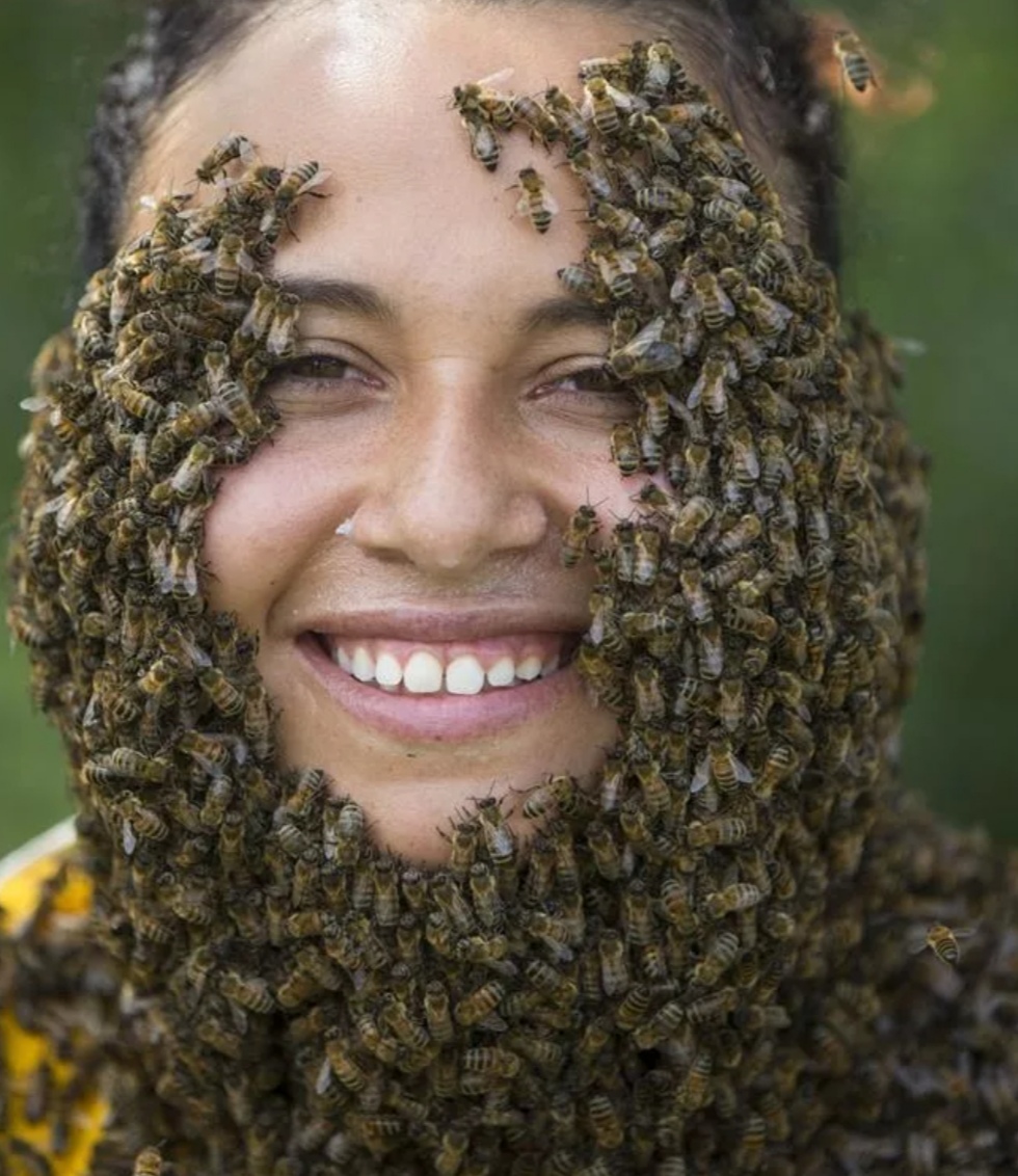Как делают бороду из пчел