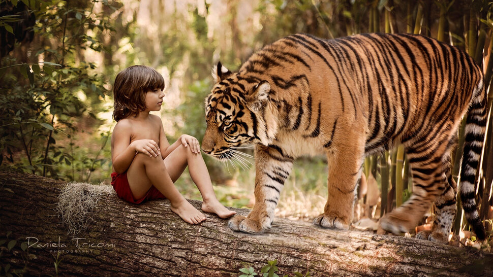 Ребенок, выросший в тигра