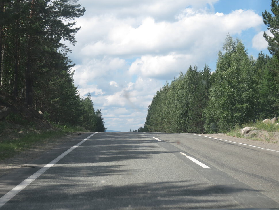 Зубы