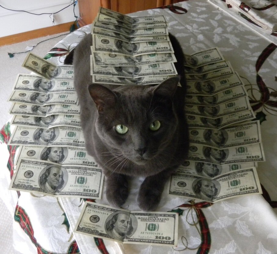 Деньги и животные