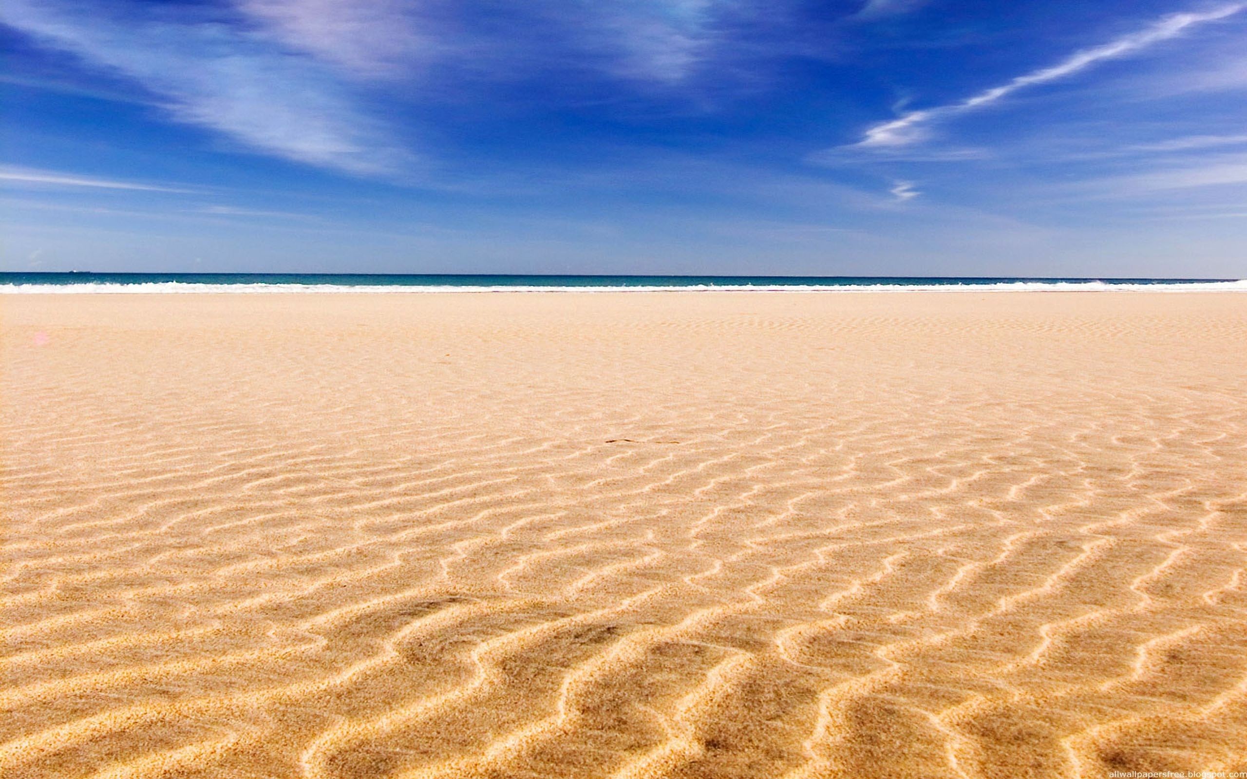 Пляж лапки. Санд Беач. Море песок. Песчаный пляж. Пляж песок.
