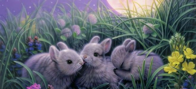 Много крольчат