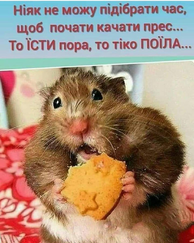 Покойники