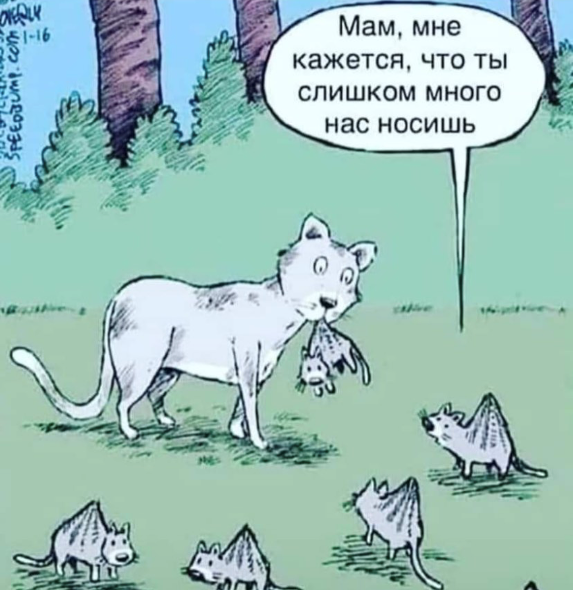 Шутка забота. Забота прикол. Демотиватор забота. Мемы про заботу. Забота прикольные картинки.