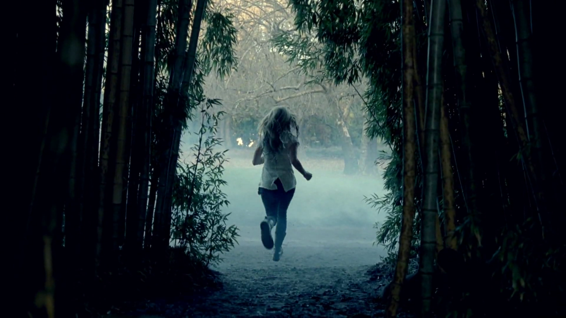 Убегать во сне от людей. Девушка убегает в страхе. Девушка убегает в лес. Девушка бежит в лесу. Девушка в лесу страх.