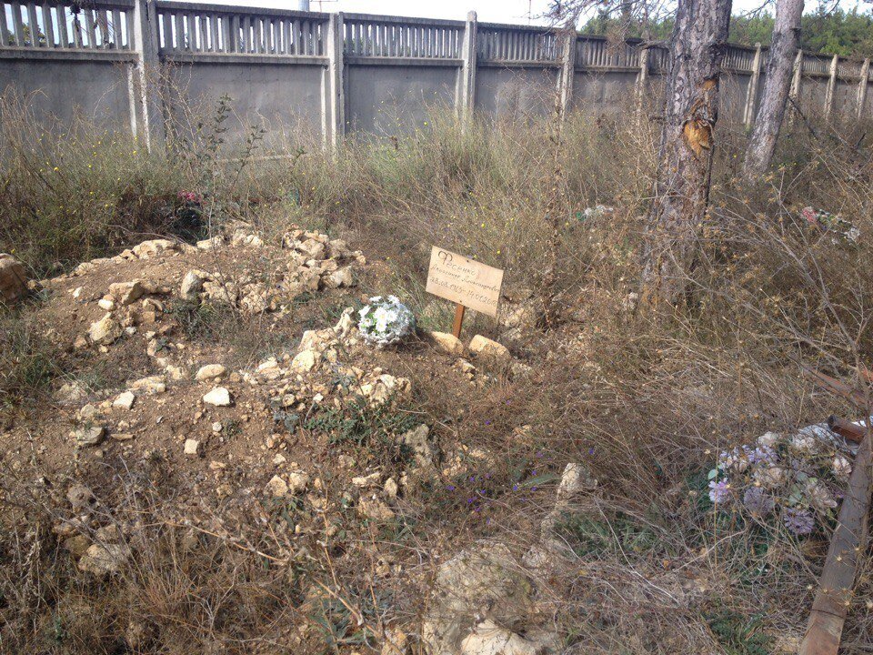 Заброшенное кладбище на территории бывшего пионерского