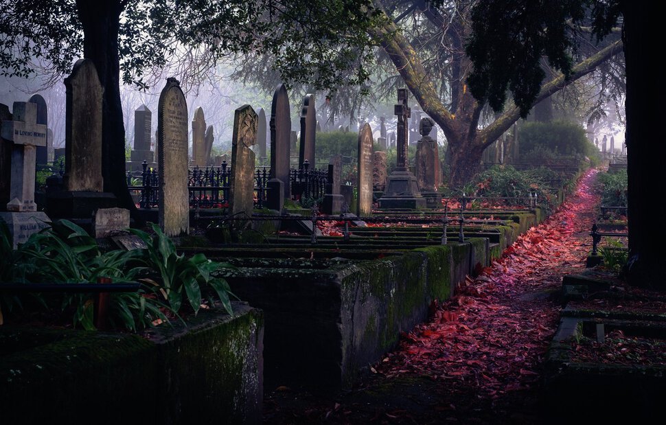 Кладбище, могила