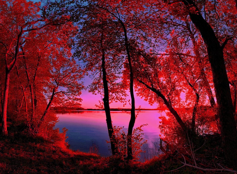 Яркий, красный восход солнца