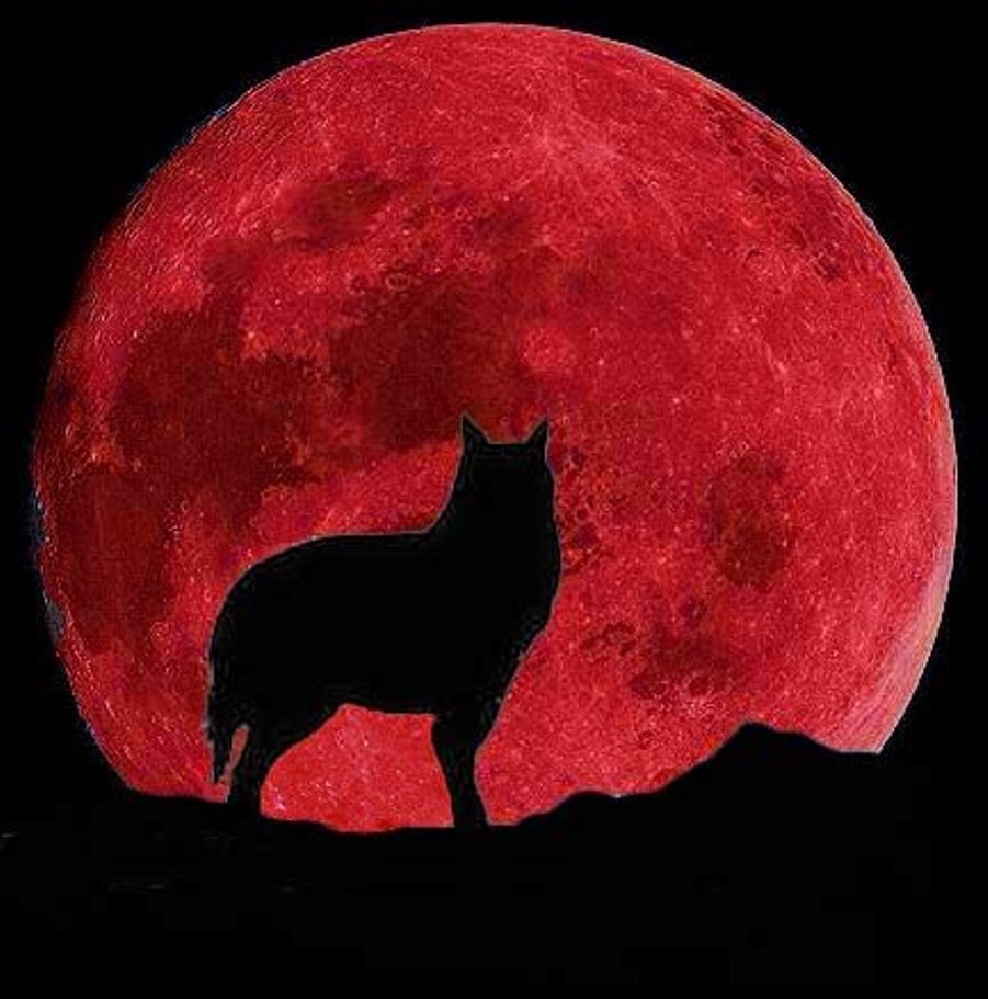 Кроваво-красная луна, череп, волки
