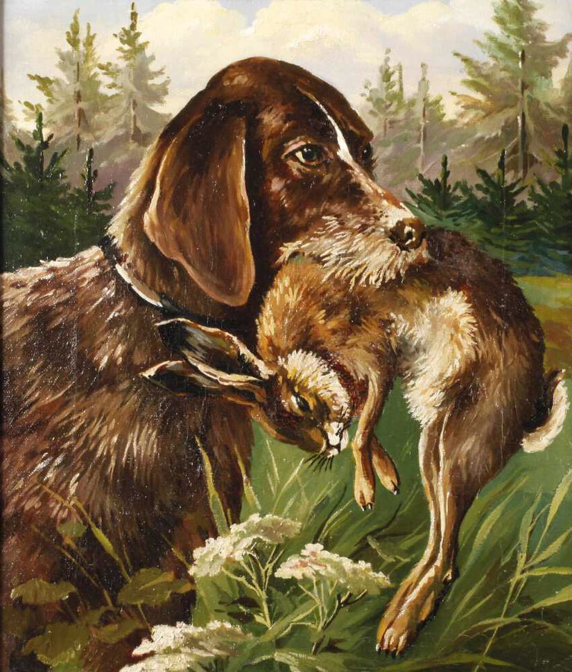 Кролики и собаки