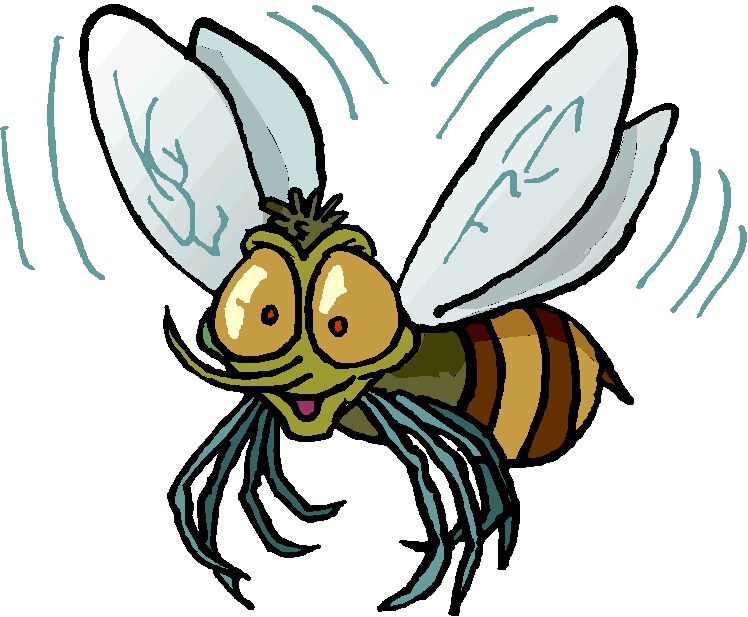 Укус толи осы то ли пчелы, мошка в глазу