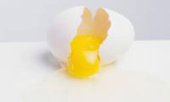 Головастик и 2 желтка в курином яйце