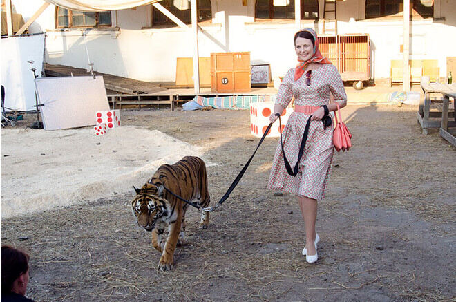 Дочь ведет тигра на поводке