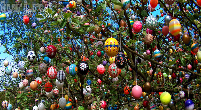 Яйца на дереве
