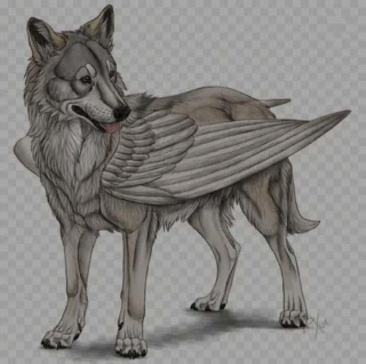 Волк с крыльями