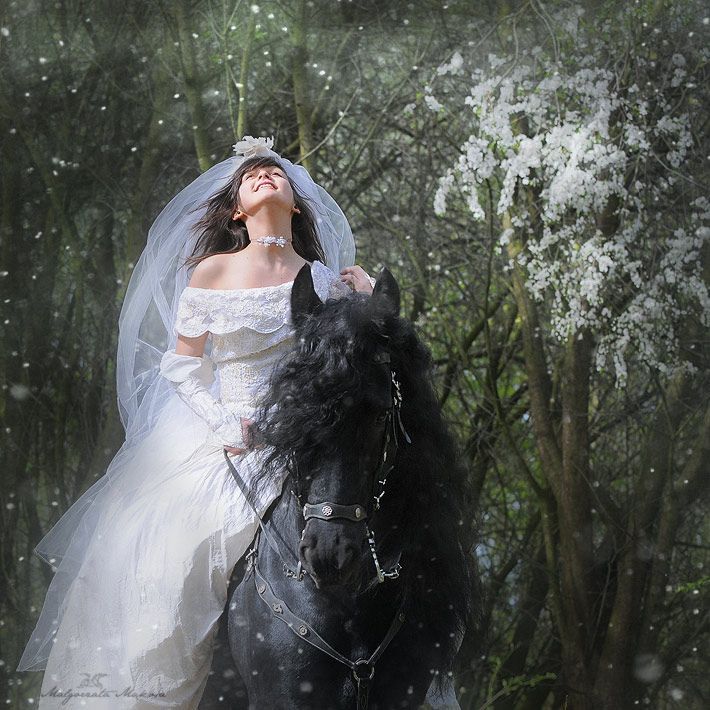 В свадебном платье на коне