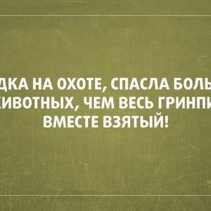 Обои прикольные для девочек с надписями