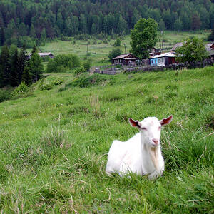 Верхний ист-сайд, нью-йорк обои и картинки на рабочий стол скачать