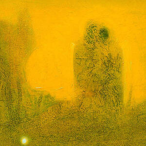 Гармония. Основной цвет обоев: Чёрный