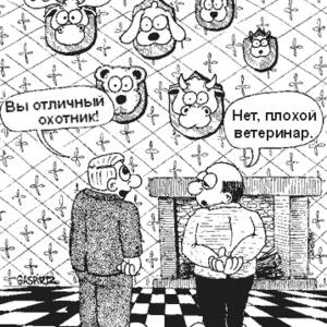 Милая открытка на Международный день ветеринара