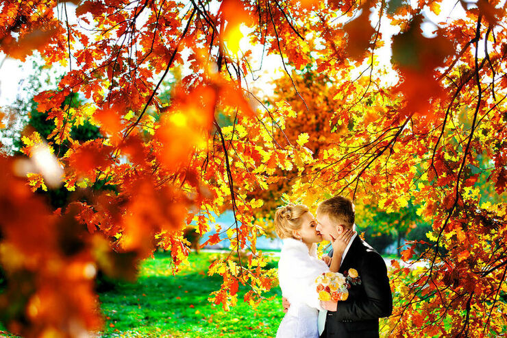 Под какими звездами прошла ваша свадьба ?