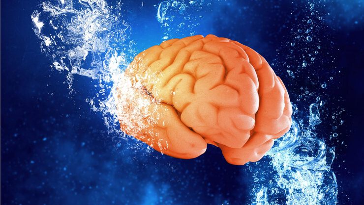 9 удивительных примеров того, как мы сами влияем на наш мозг