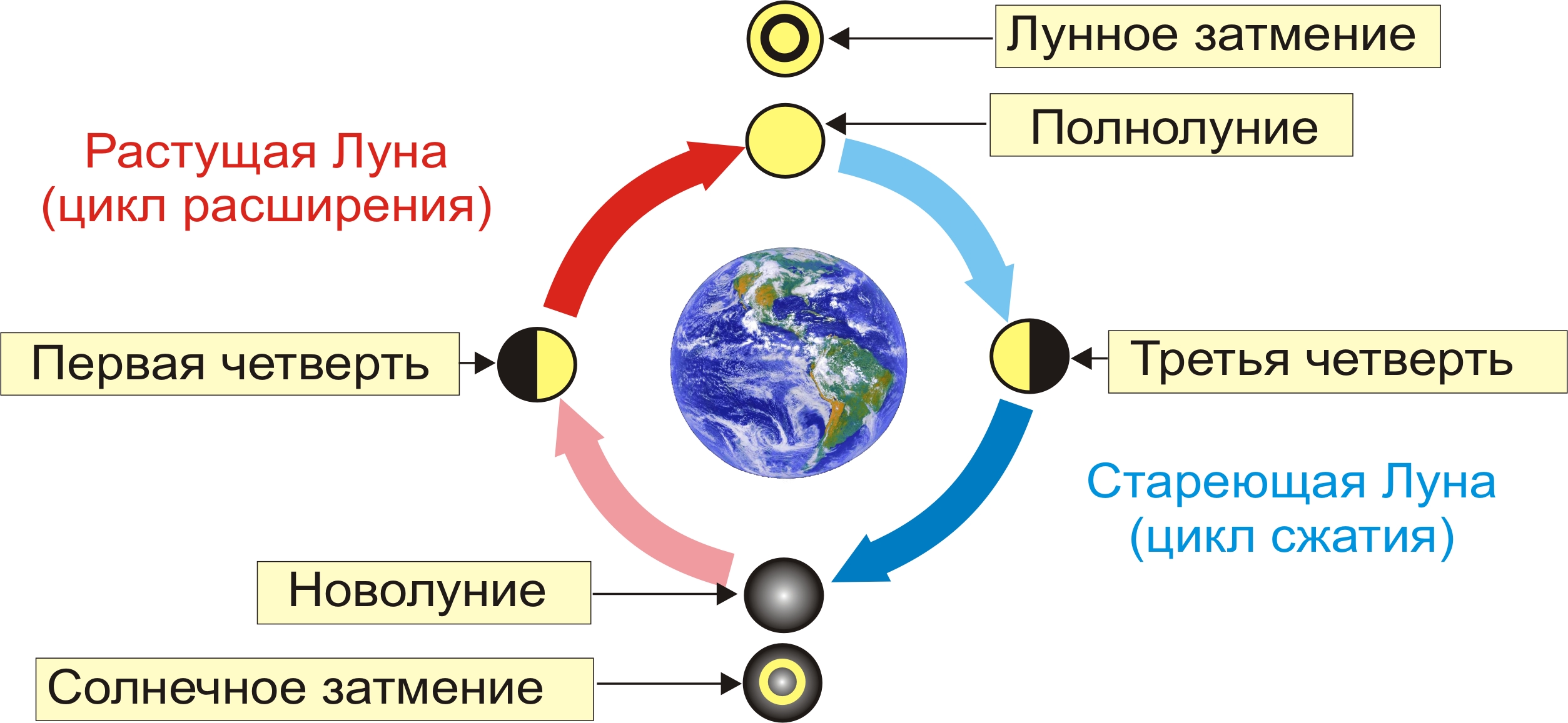 Сколько длится 1 луна. Циклы Луны схема. Цикл солнца и Луны. Фазы Луны схема. Луна циклы фазы.