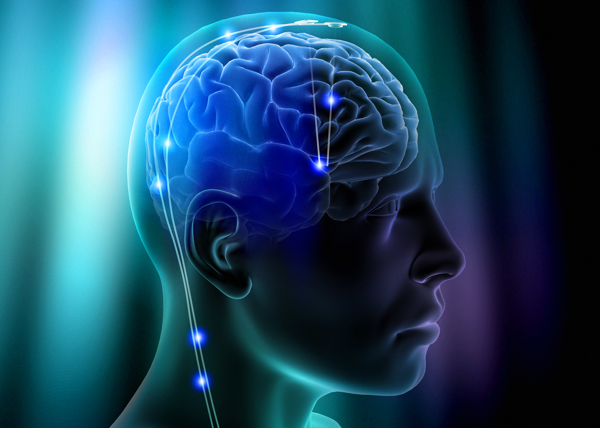Нервная деятельность в головном мозге