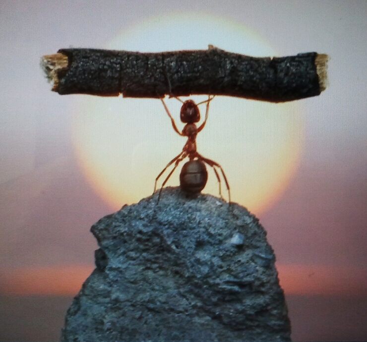 Относительность истины