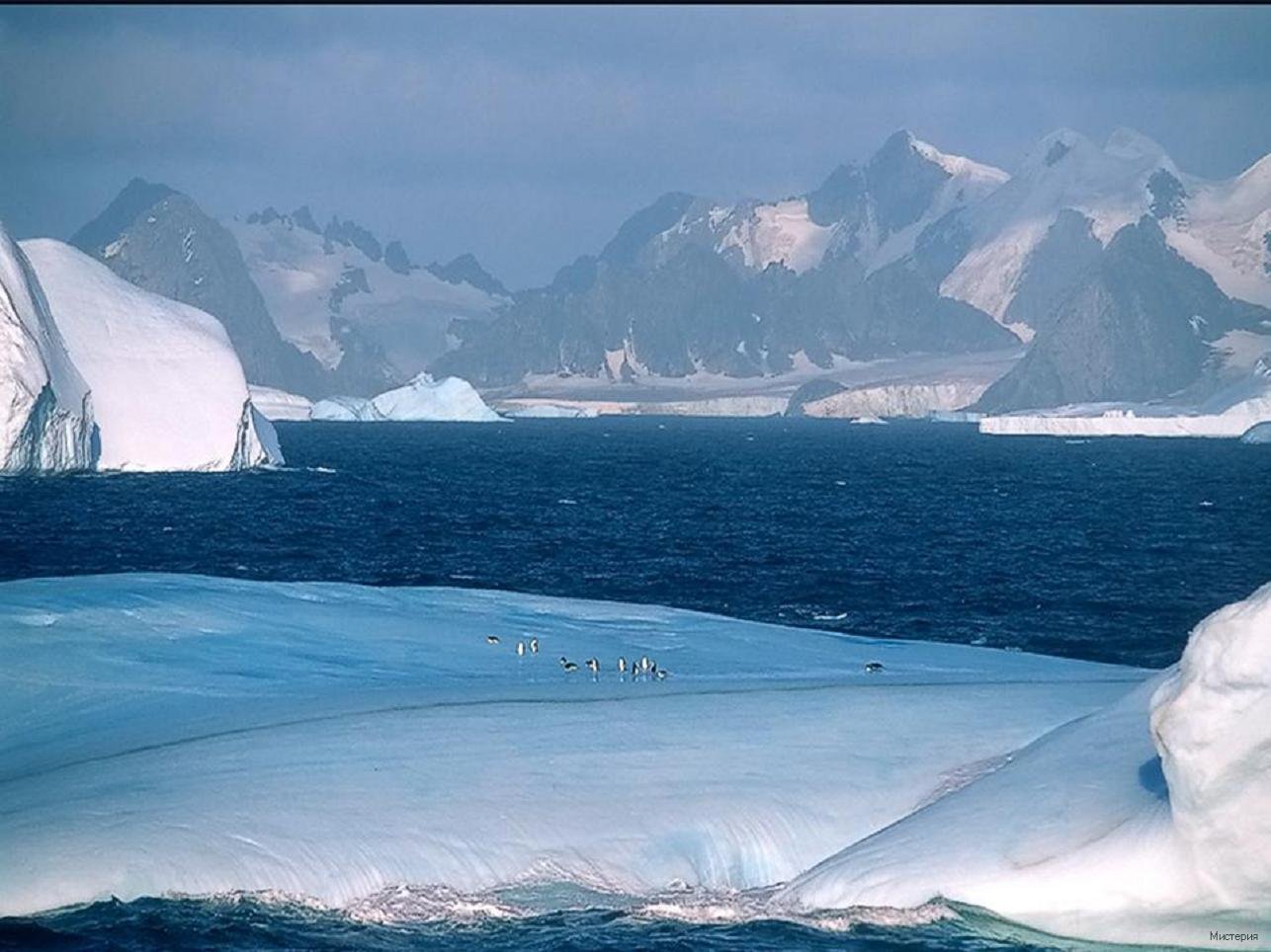 Вид холодно. Антарктика и Антарктида. Антарктида для детей. Пейзажи Арктики и Антарктики. Тема Арктика и Антарктика.