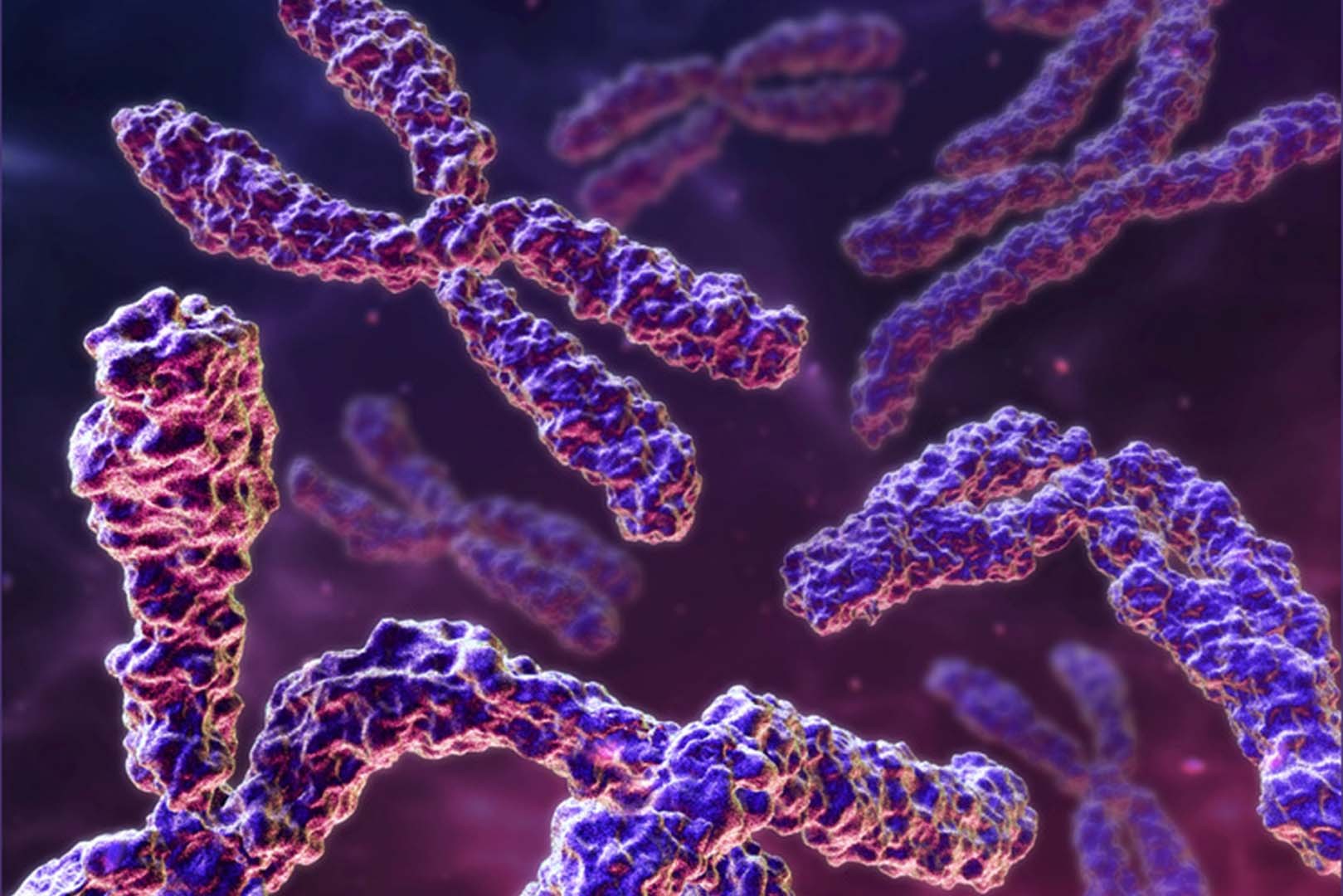 Ген биология 9. Генетика хромосомы. Наследственные заболевания хромосомы. Красивые хромосомы. Цитология хромосома.
