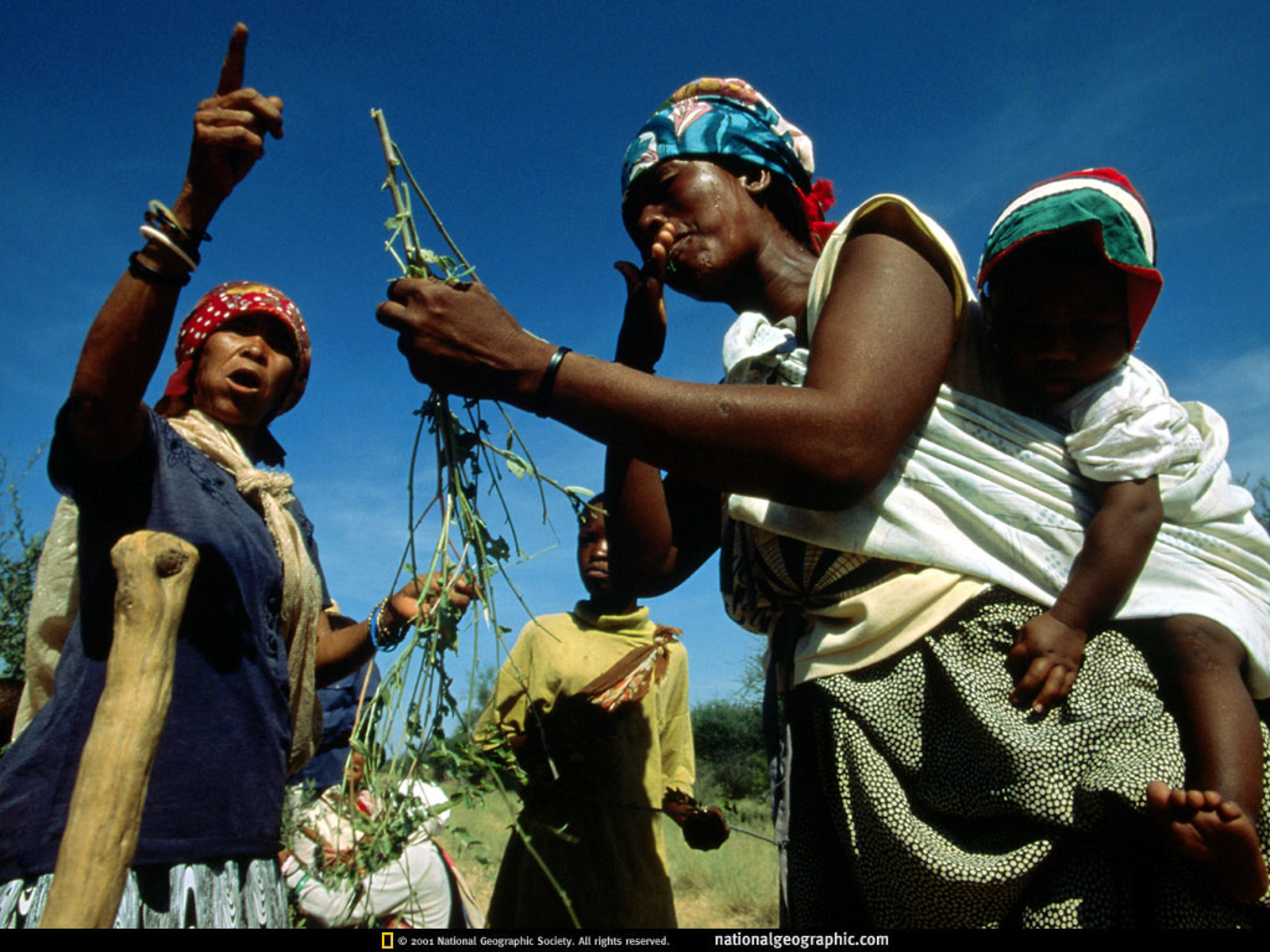 Народ в африке сканворд. Ботсвана народ. Племена Ботсваны. Ботсвана население.