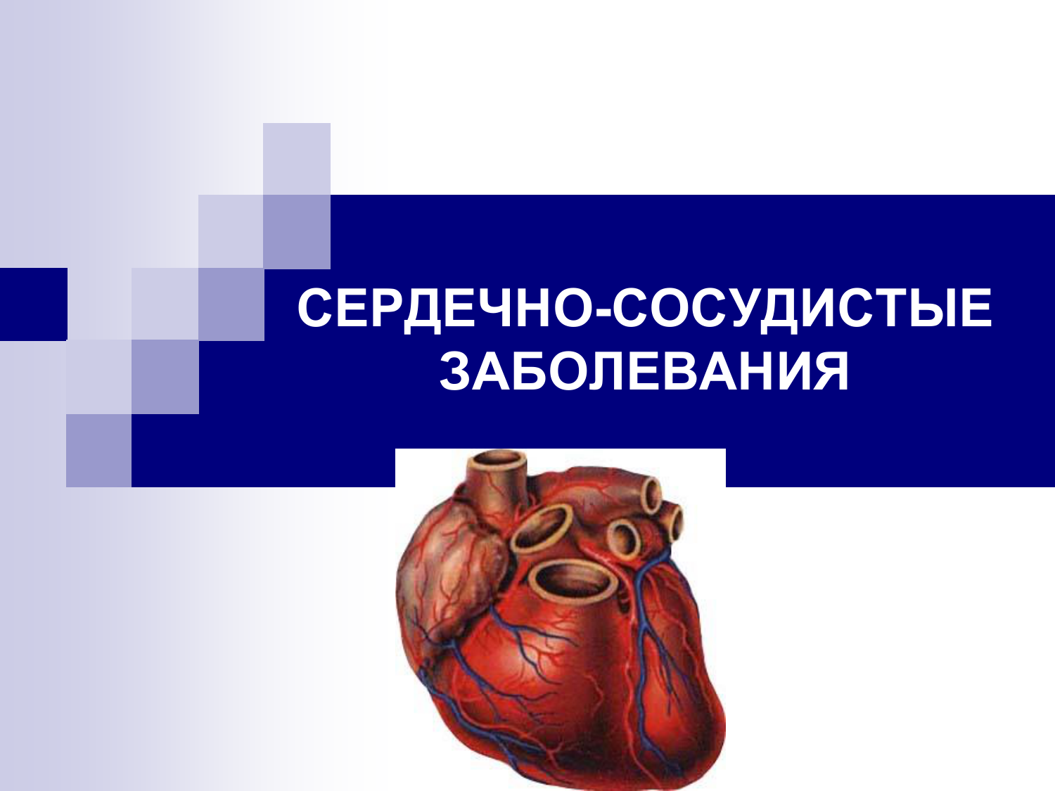 Сердечные заболевания сообщение. Сердечно-сосудистые заболевания. Болезни сердечно-сосудистой системы. Патология сердечно сосудистой системы. Презентация на тему сердечно сосудистые заболевания.