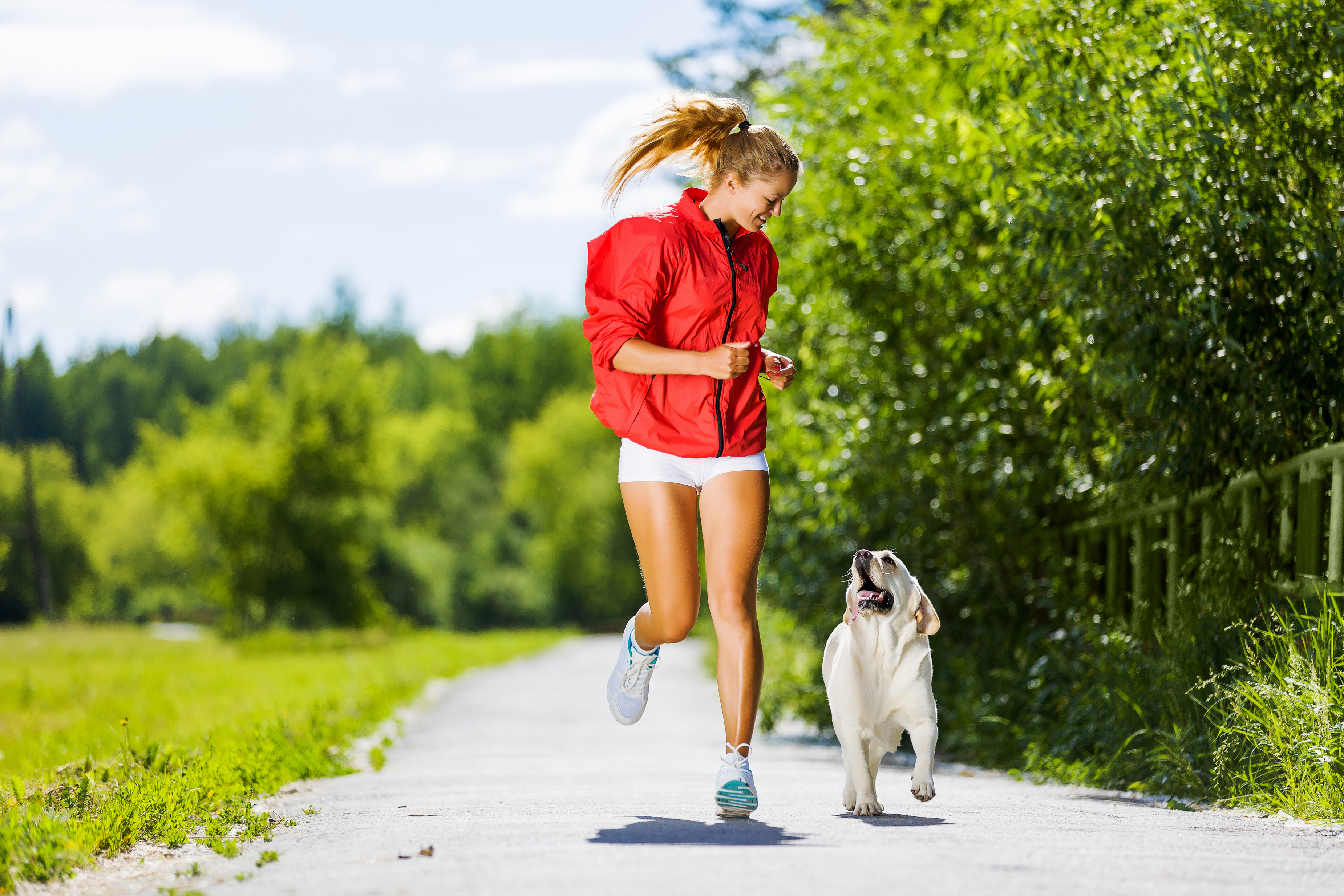 Pet sports. Пробежка в парке. Девушка с собакой в парке. Человек гуляет с собакой. Утренняя пробежка с собакой.