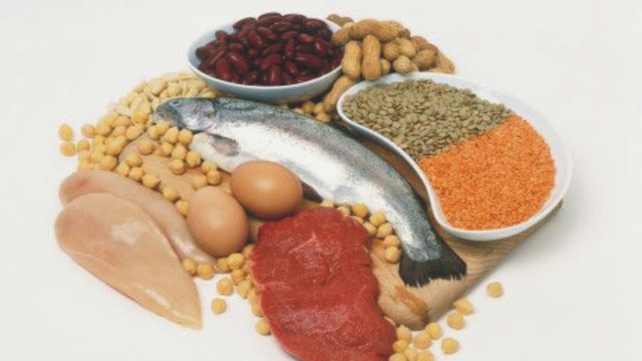 Мясо рыба яйца бобовые. Употребление белка. Белок и иммунитет картинки. Аминокислоты в продуктах.
