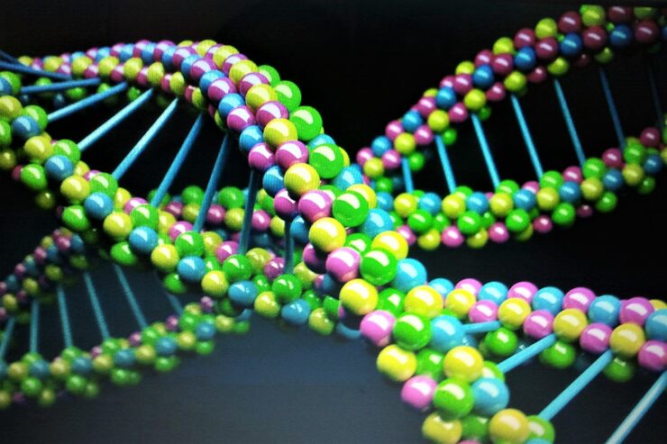 Бесконечная причинность