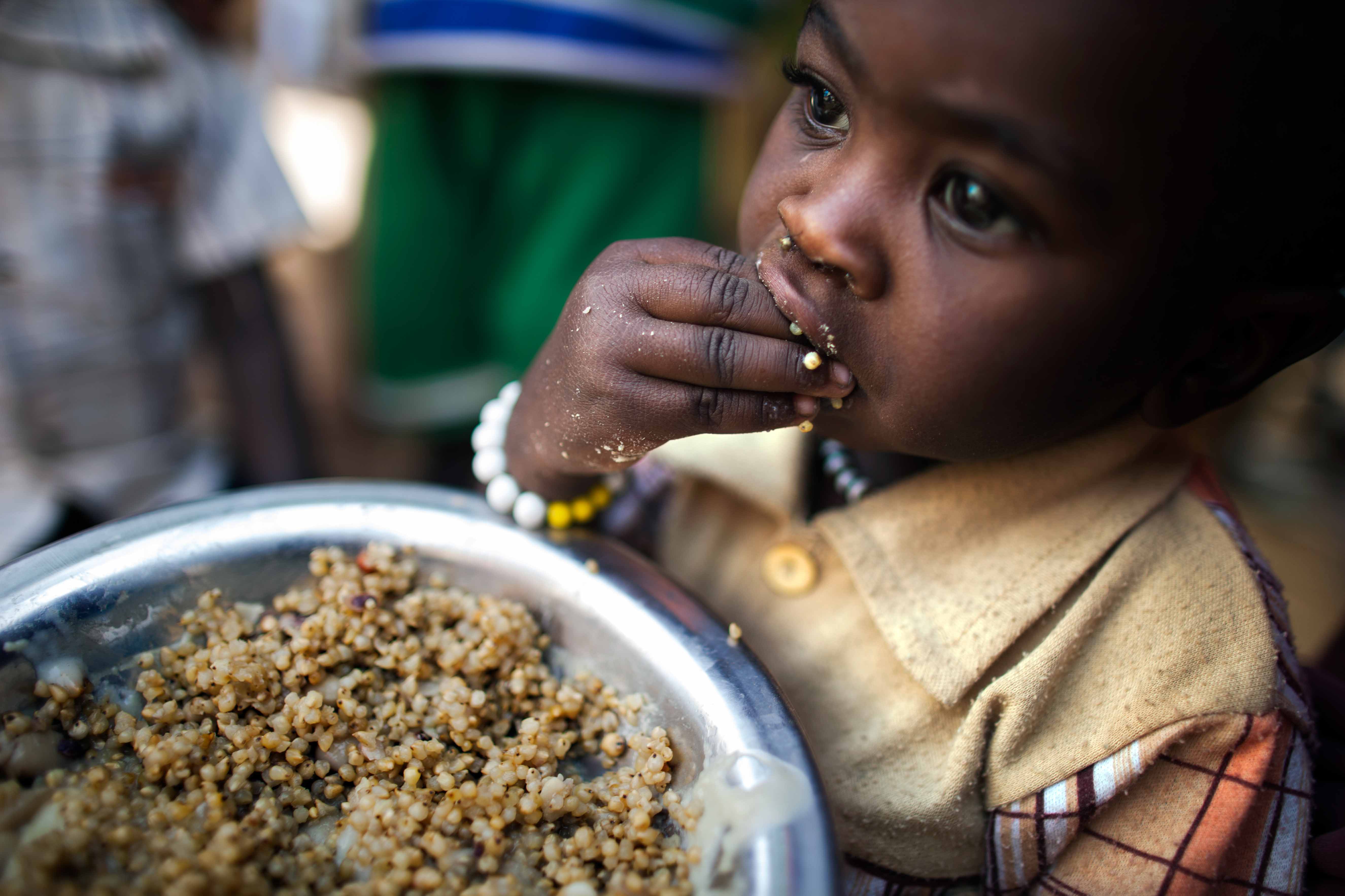 Глобальная проблема голода. Продовольственная проблема. Глобальная продовольственная проблема. Недостаток продовольствия в Африке.